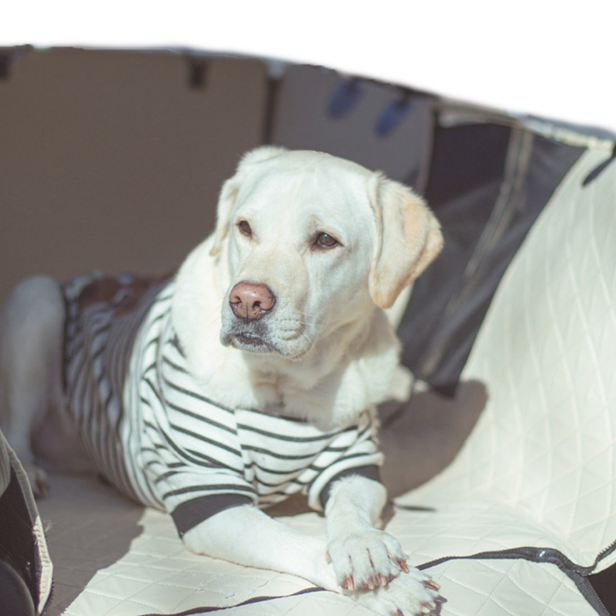 차량용 강아지 애견카시트 대형 방석 이동가방 뒷좌석 펫 풀커버 캐리어 누링크 세이프티 카시트, 쿠션_블랙, 1개 79,300원