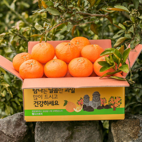 [가성비최고] 고당도 제주 레드향 못난이 가정용 59,900원