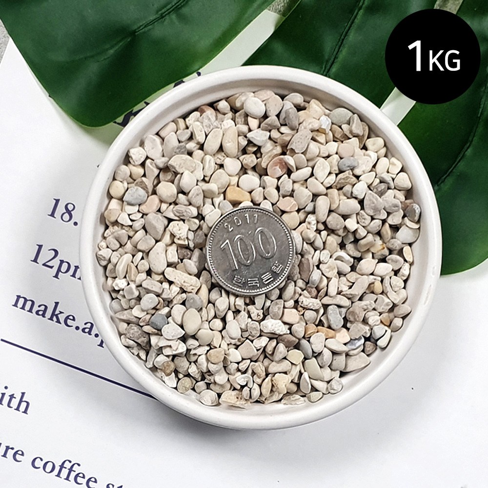 마이플랜트 콩자갈 1kg 소포장 2,000원