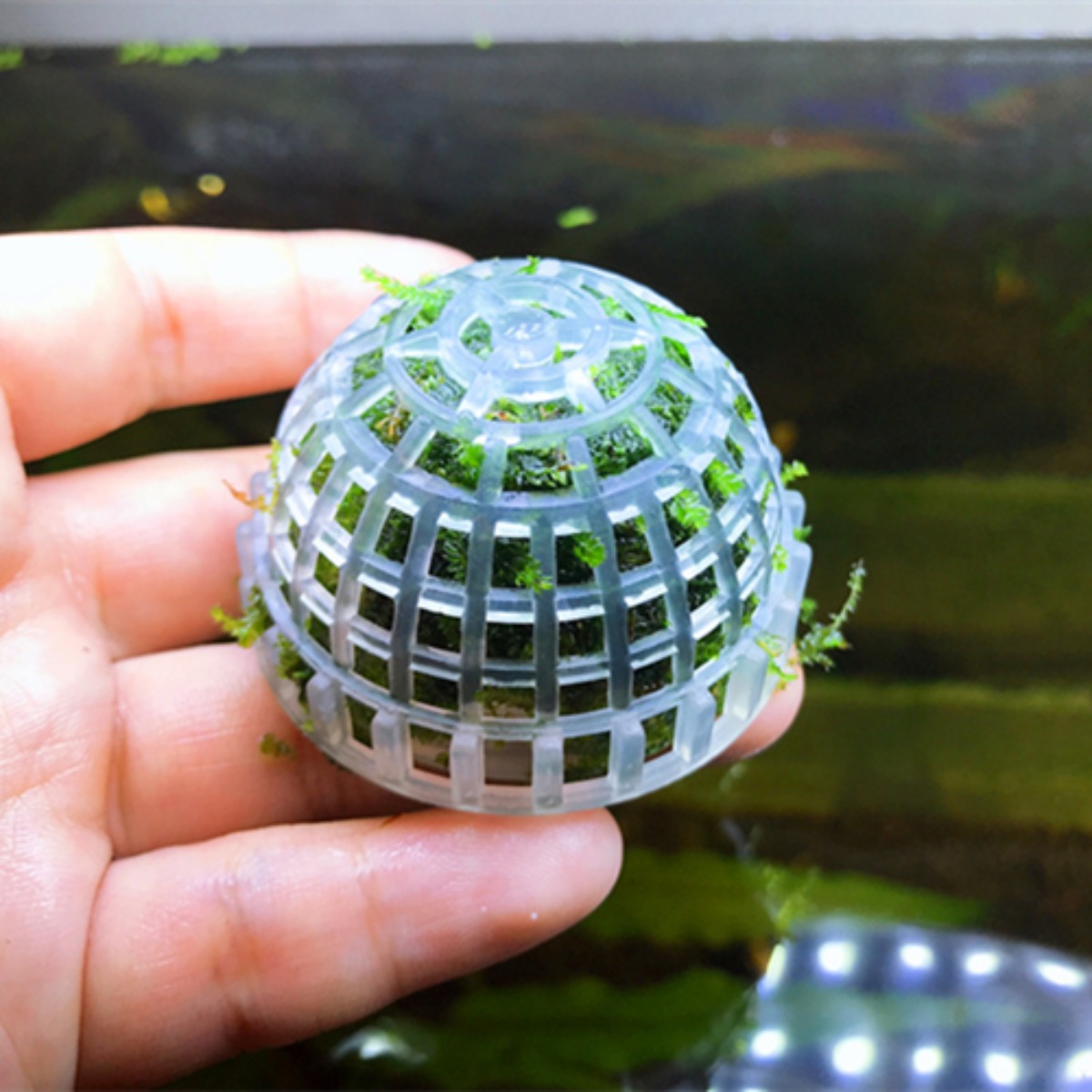 에스에이케이 간편한 수초활착 모스홀더, 3개 12,000원