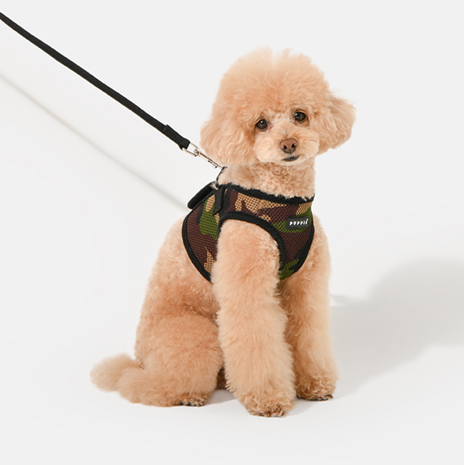 퍼피아 강아지 소프트 베스트 하네스 AH305 B스타일, 카모, 1개 15,850원