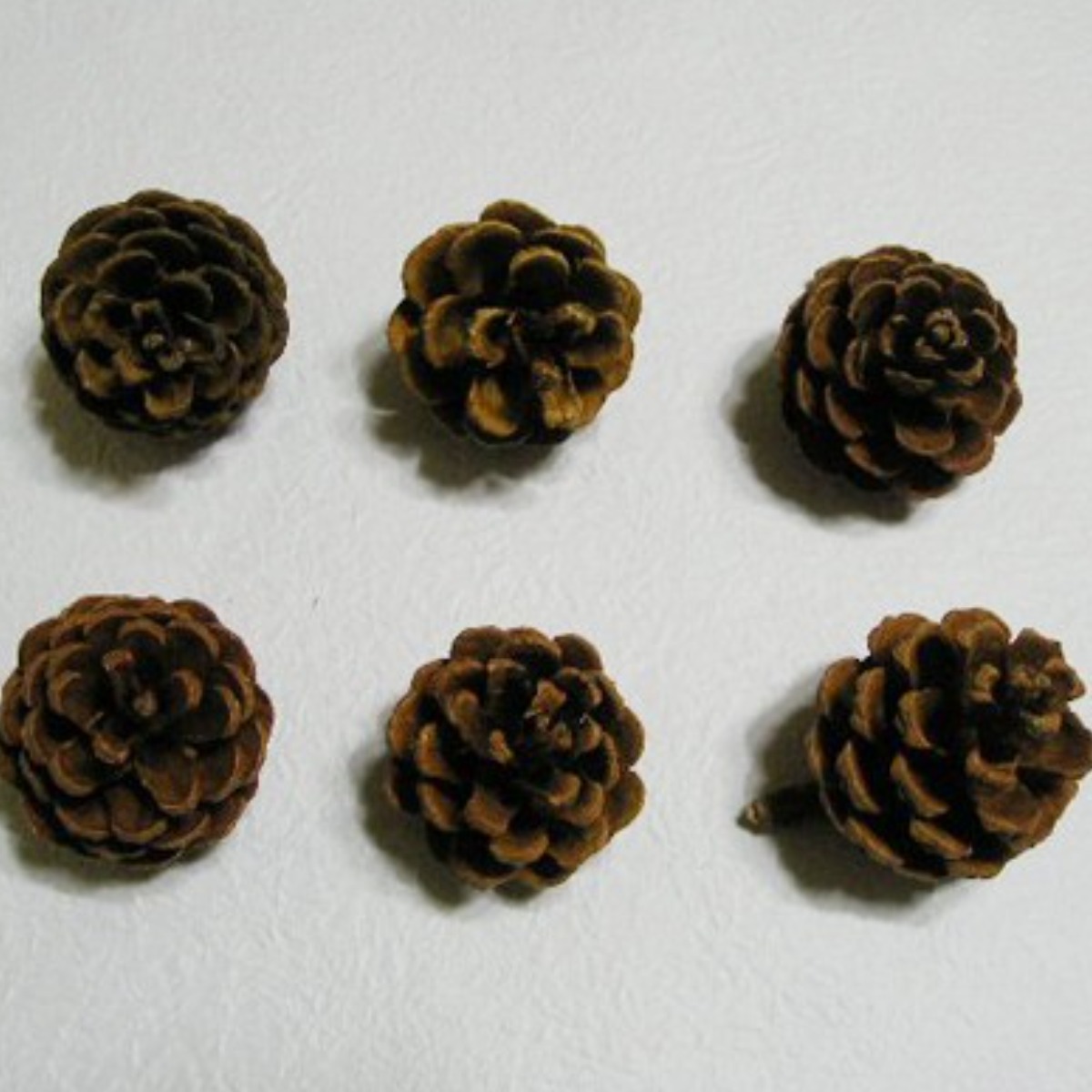 자연재료 솔방울 대 자연산 솔방울 가습기 인테리어 소품 장식용 천연 크리스마스1000g 약55개 7,700원