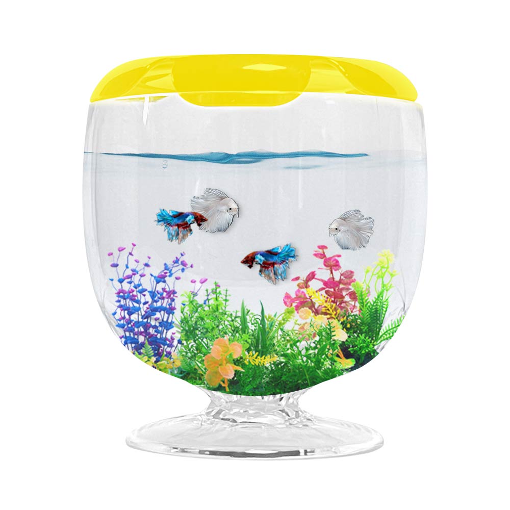 아쿠아테라 스타일리쉬 베타어항, 1개 8,000원