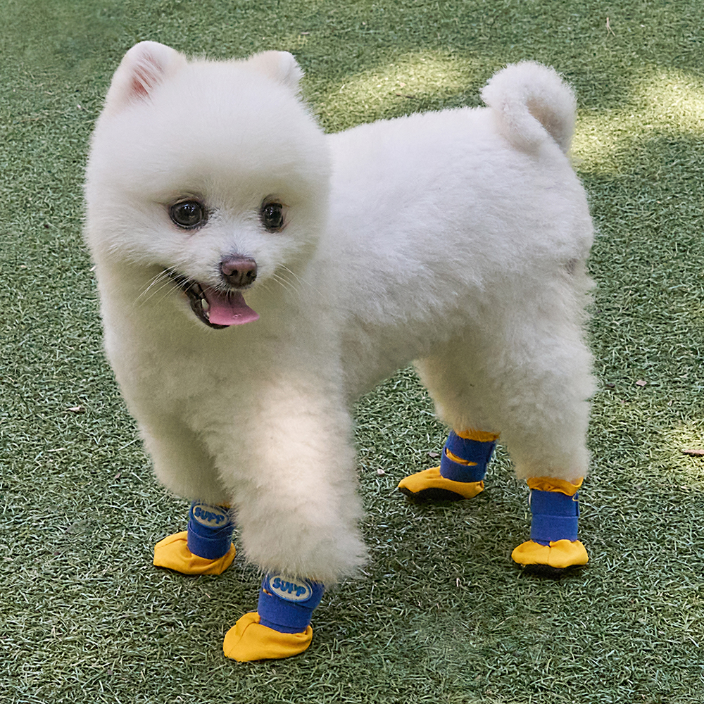 도그아이 강아지 고고슈즈 미끄럼방지 신발 8,900원