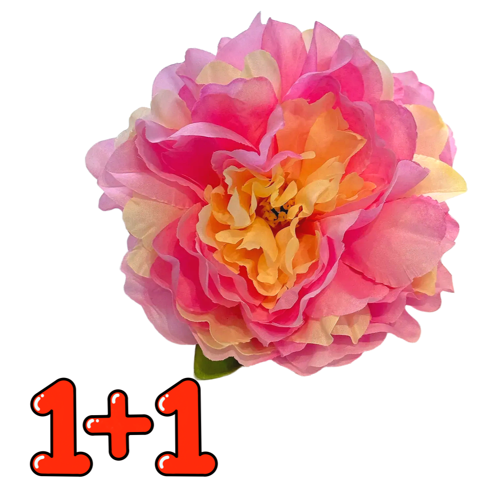 베타꽃침대 1+1 베타 어항꾸미기 은신처 12,500원