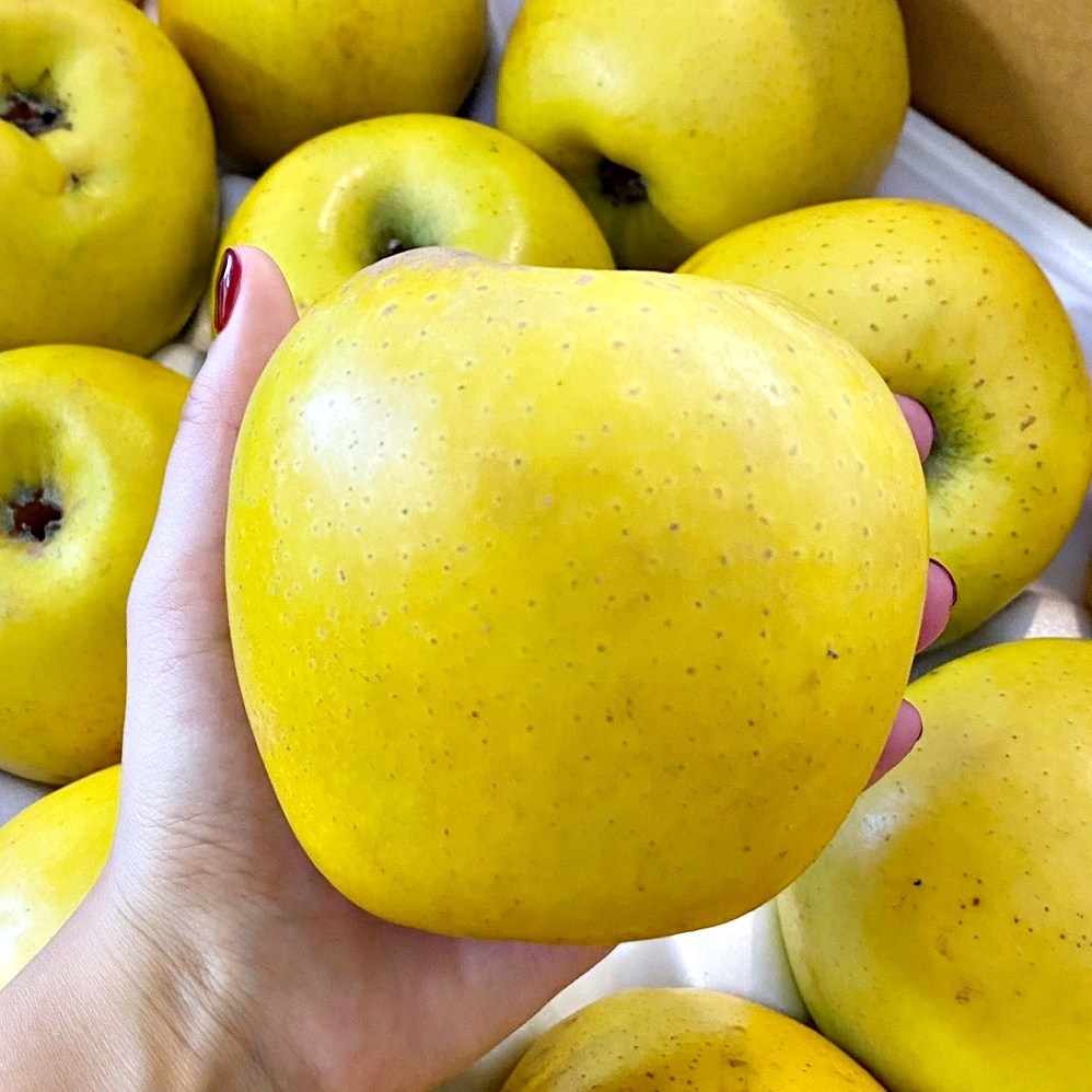 재구매율1위 16Brix 황금사과 시나노 골드 사과, 1박스, 5kg 34,900원