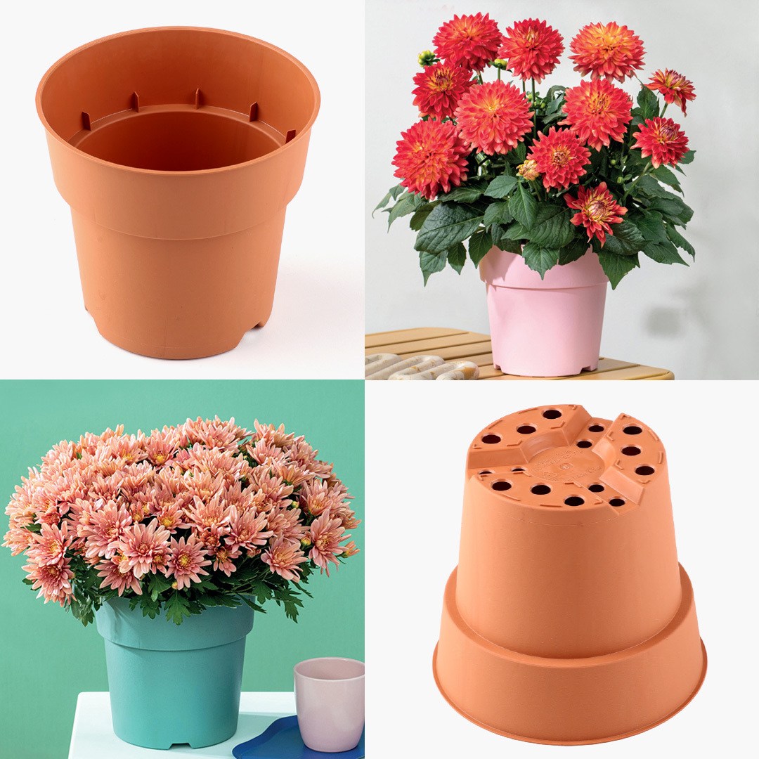 데쉬플랜트팩 줄리엣 플라스틱 화분 마이플랜트 900원