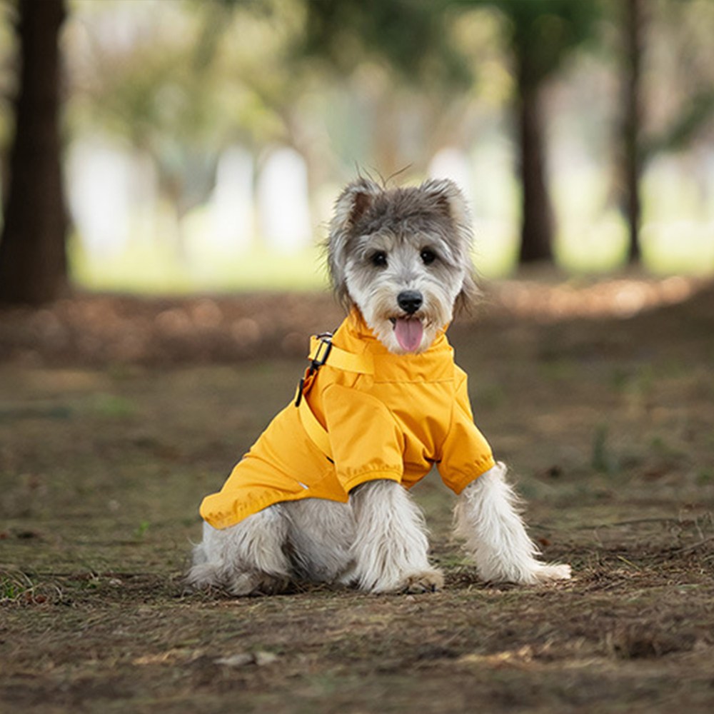 담다펫 강아지 비옷 산책 레인코트 방수 방풍 아웃도어 캠핑 바람막이, 1개, 옐로우 29,000원