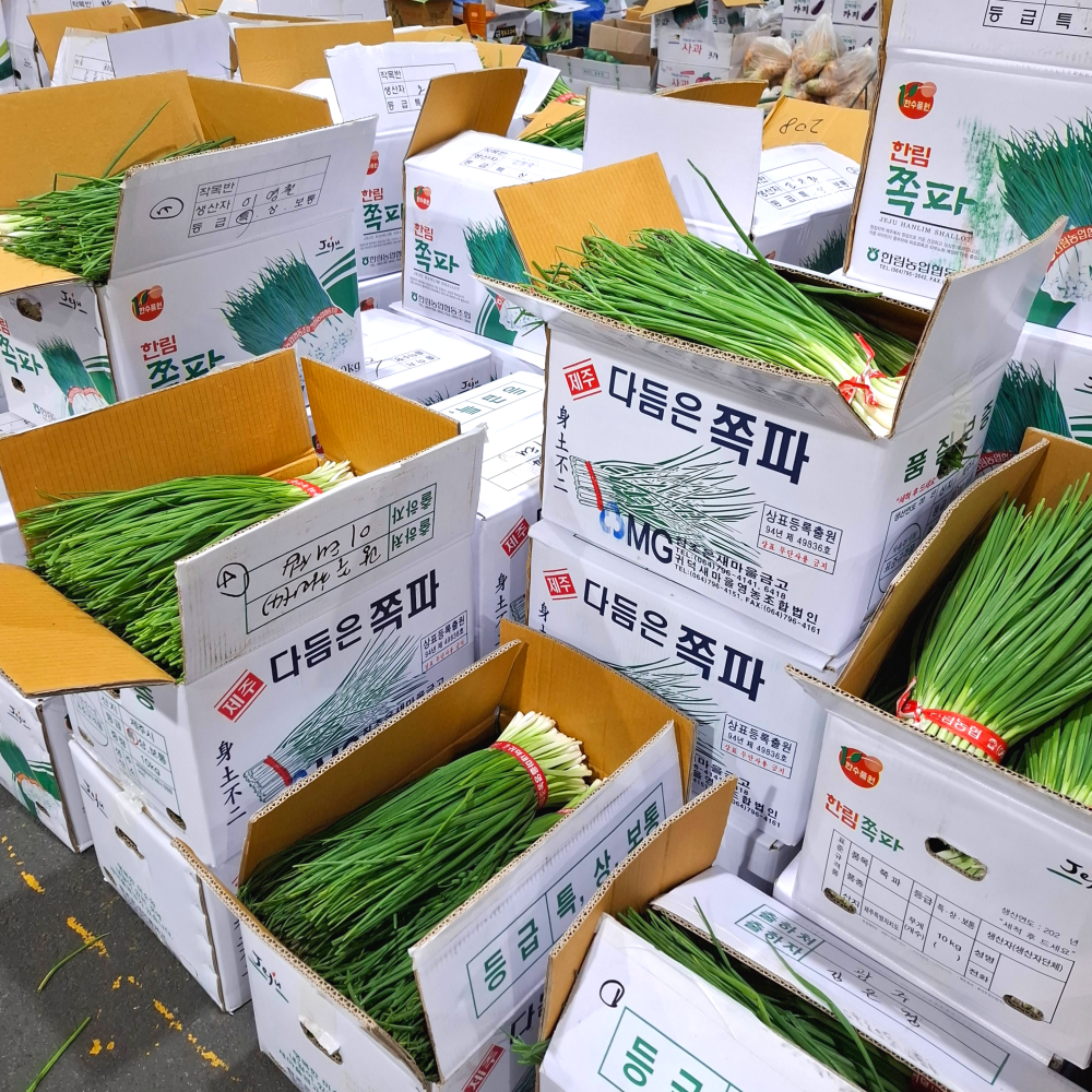 다듬은 쪽파 깐쪽파 손질된 파 제철 제주 보성 산지, 4개, 1kg 19,200원