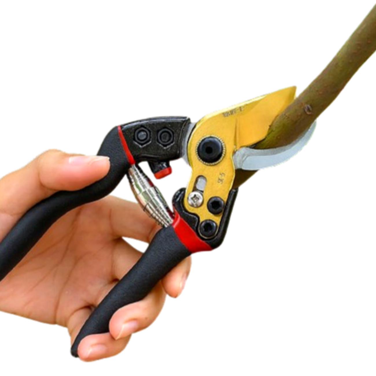 파넥시 고강도 SK5 강철 초절삭 고급형 원예 가위 33,000원