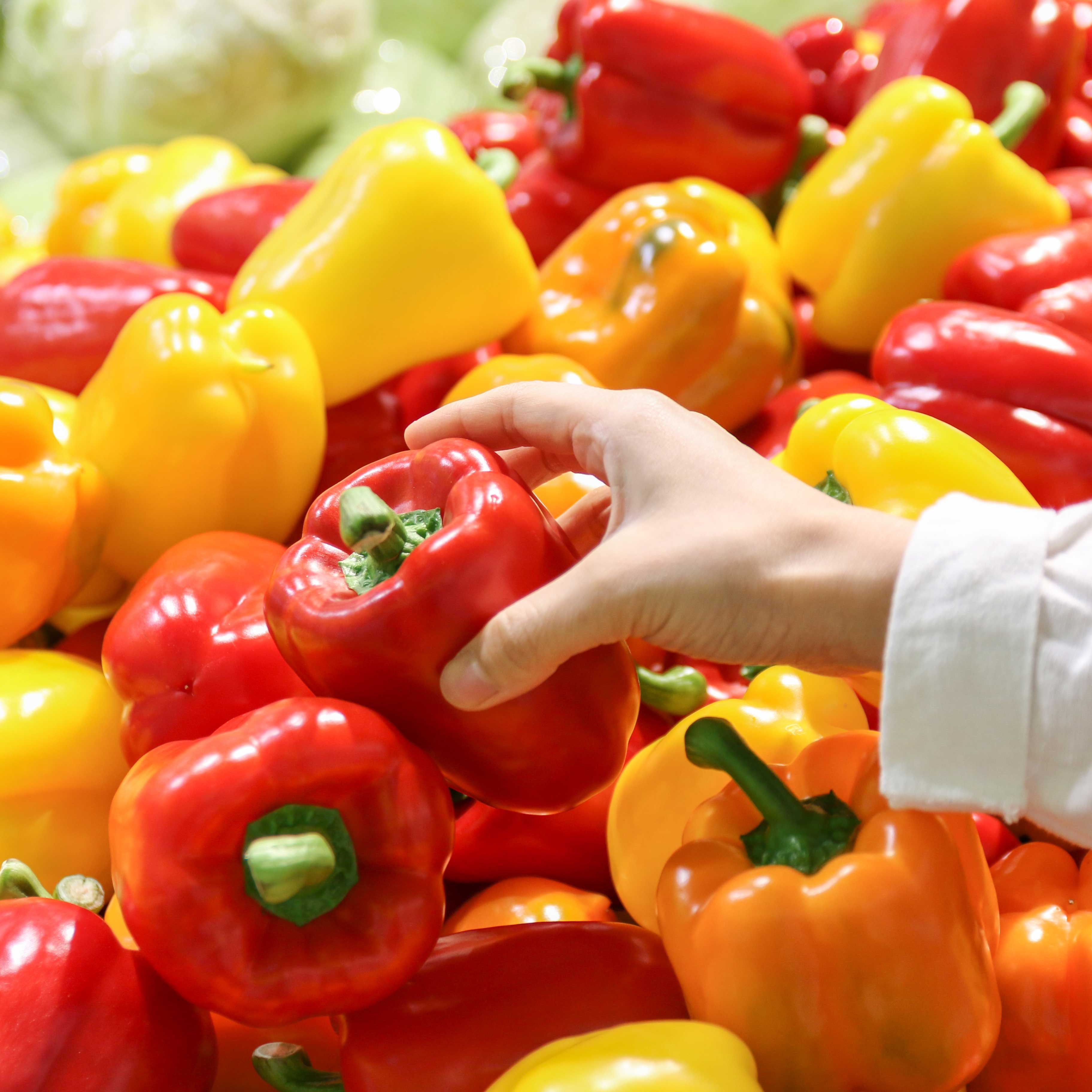 국내산 아삭아삭 파프리카 가정용 9,750원