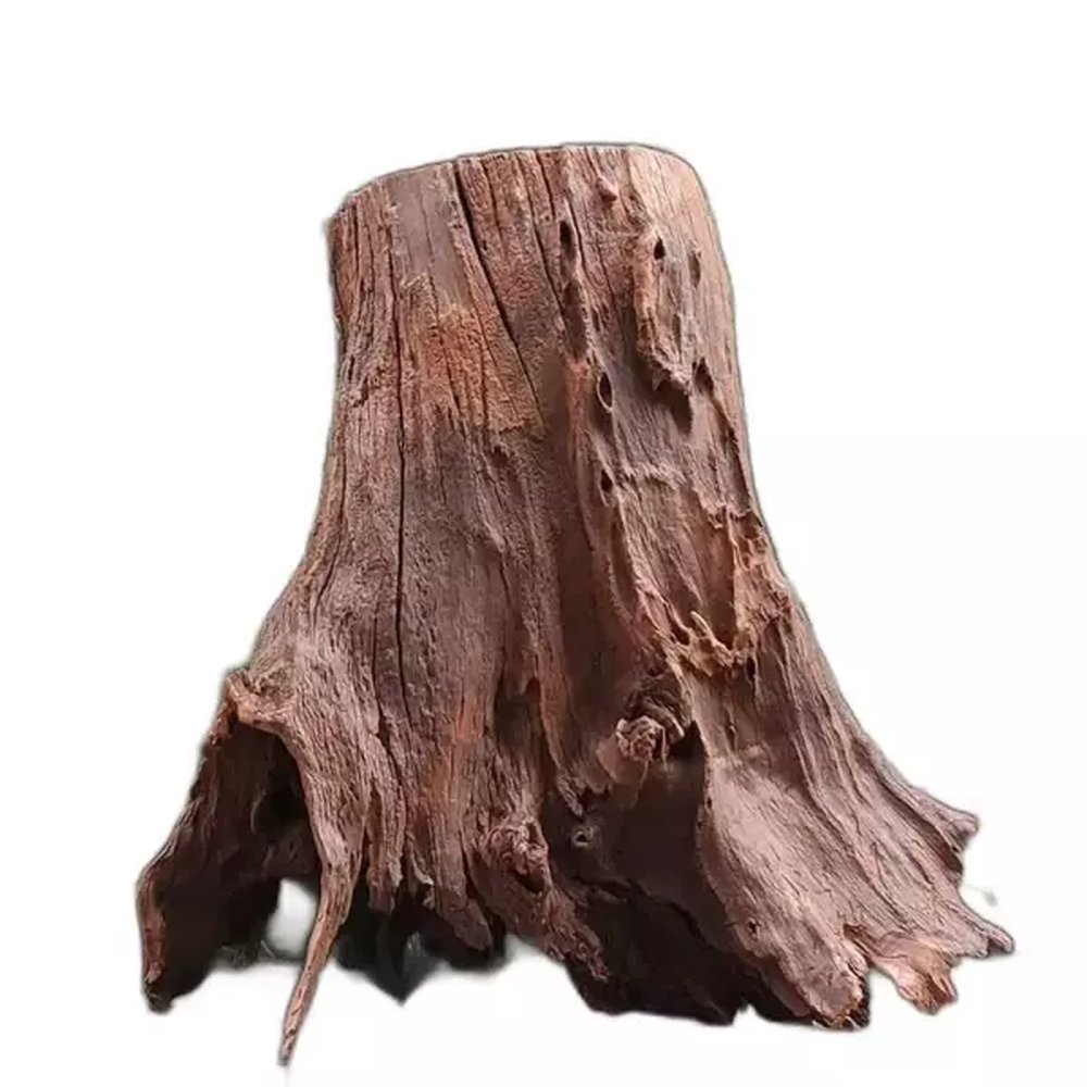 어항 수족관 성형유목 장식품 수생 성형 해수어 식물 709,750원