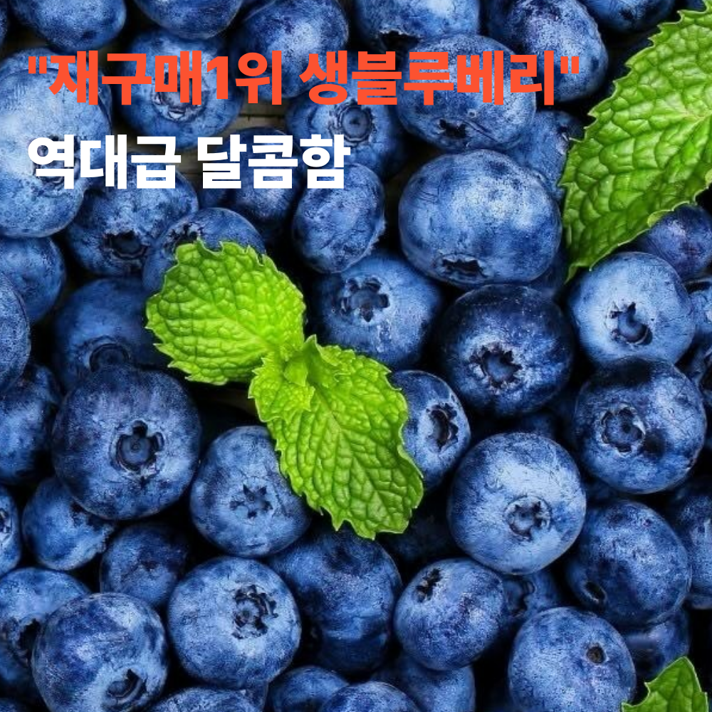 수량한정 재구매1위 칠레산 생블루베리 1팩당125g, 1개, 2팩 16,000원