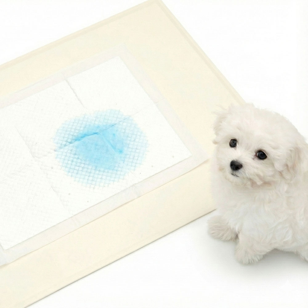 워글리 실리콘 배변매트 11,900원