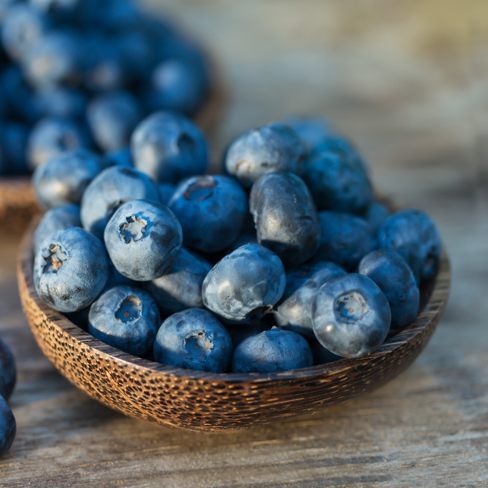 [산지직송]국내산 생 블루베리 프리미엄 고당도, 1개, 400g 38,100원