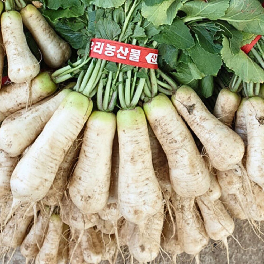 강원도 청정 알타리무 농장직송 특품 26,800원