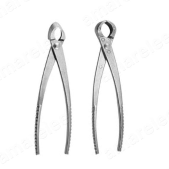 amarelee 가위 분재 혹가위 원예 정원 뿌리 나뭇가지 2개 19,000원