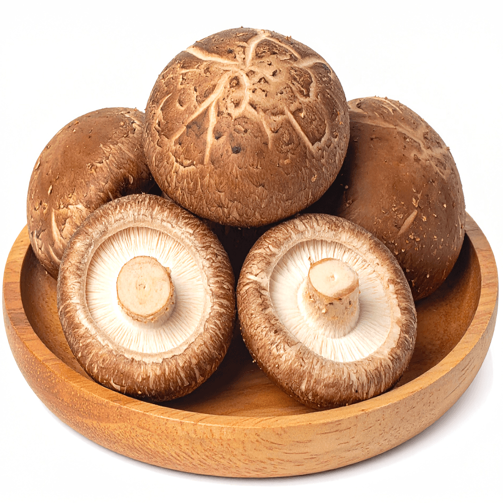 GAP 인증 농가직송 향이 진한 국내산 강원도 명품 표고버섯 16,810원