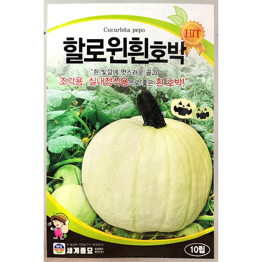 할로윈흰호박 10립 세계 26년 호박씨앗, 1개 8,000원