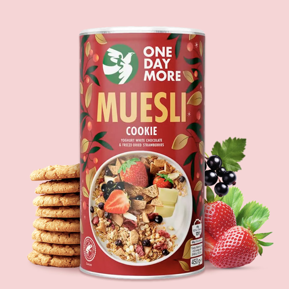 원데이모어 쿠키 뮤즐리 비건 초코 귀리 시리얼 15,400원