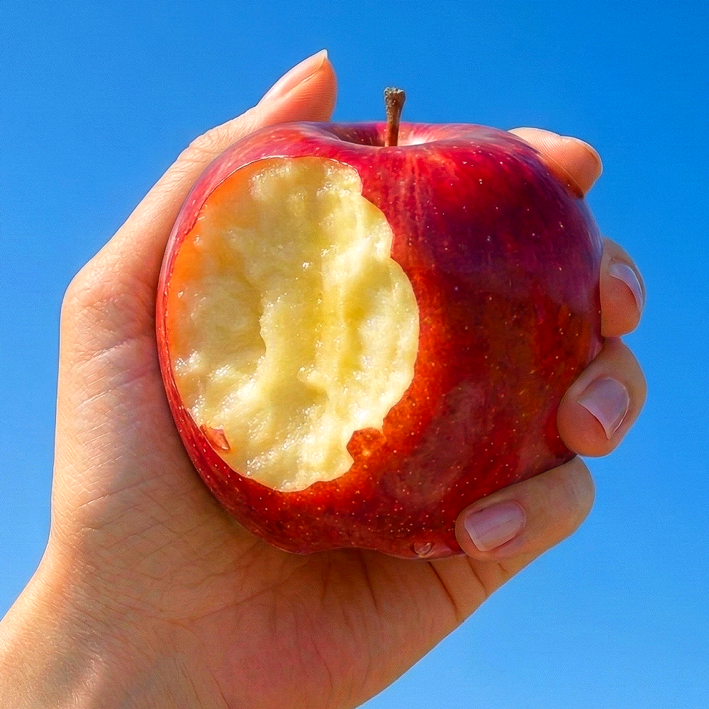 [오늘만특가] 한정수량 산지직송 아삭달콤 부사사과, 1박스, 선별가정용_중소과_5kg 41,500원