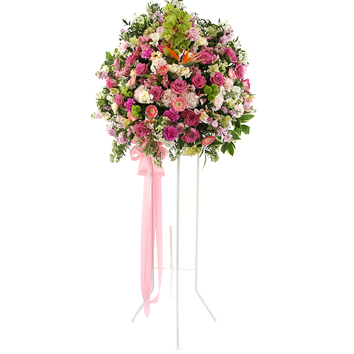 (주)99플라워 축하 1단 신화환 [ST-FA193]전국당일배송꽃배송 155,200원