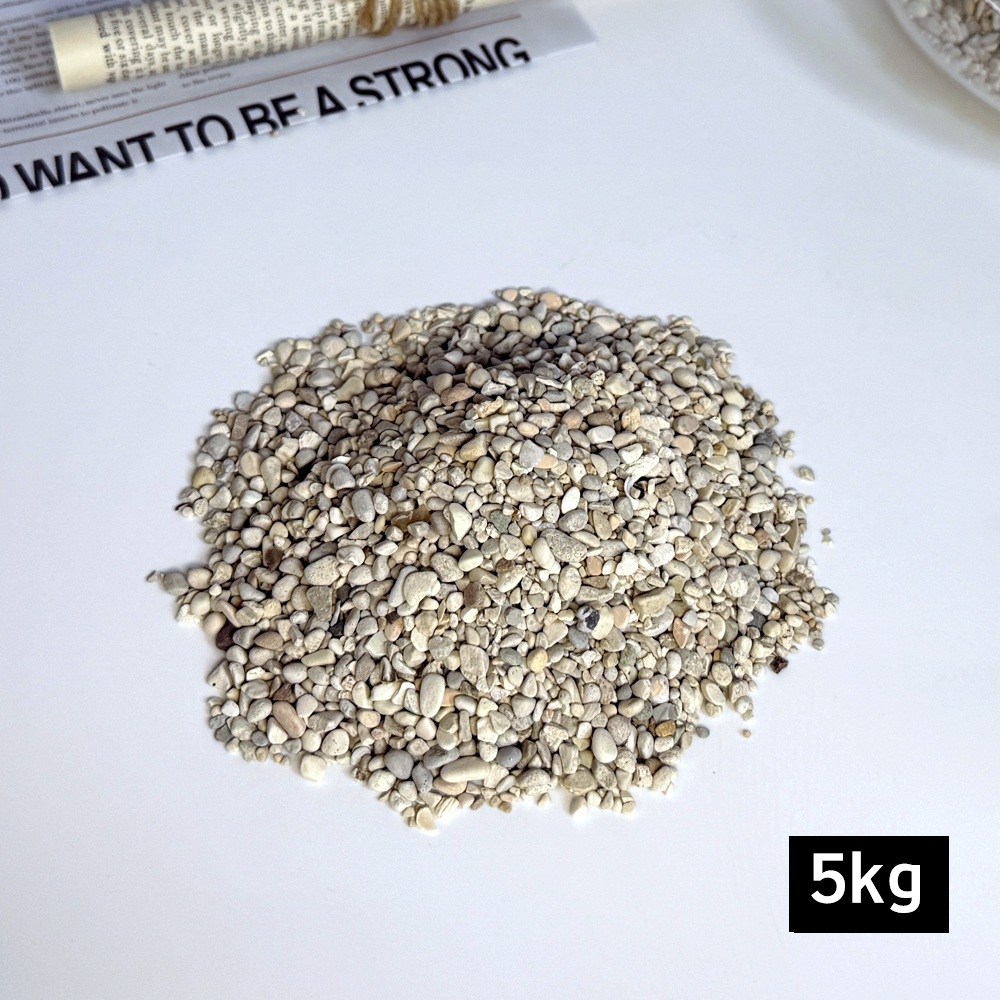 프리미엄 콩자갈 베이지 그린, 1개, AP콩자갈, 2-5mm, 5kg, 현재가 11,800원