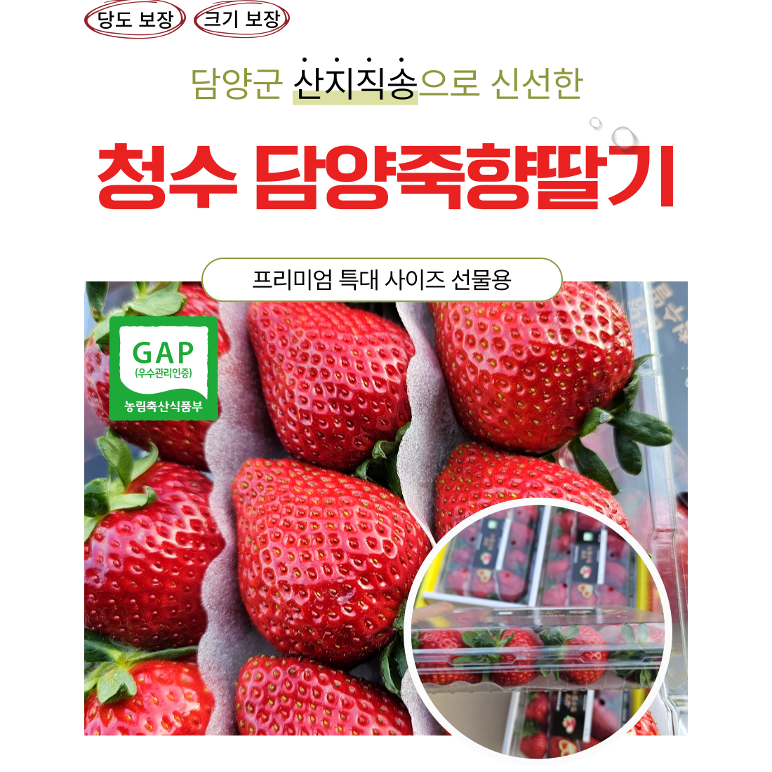 담양 청수 블랙라벨 설향딸기 죽향딸기 프리미엄 특품 65,900원