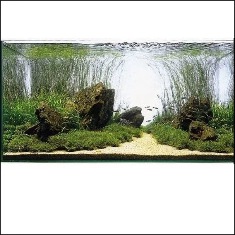 라이트백스크린 백라이트 백스크린 앱제어 시트지 색상조절 무드등 139,900원