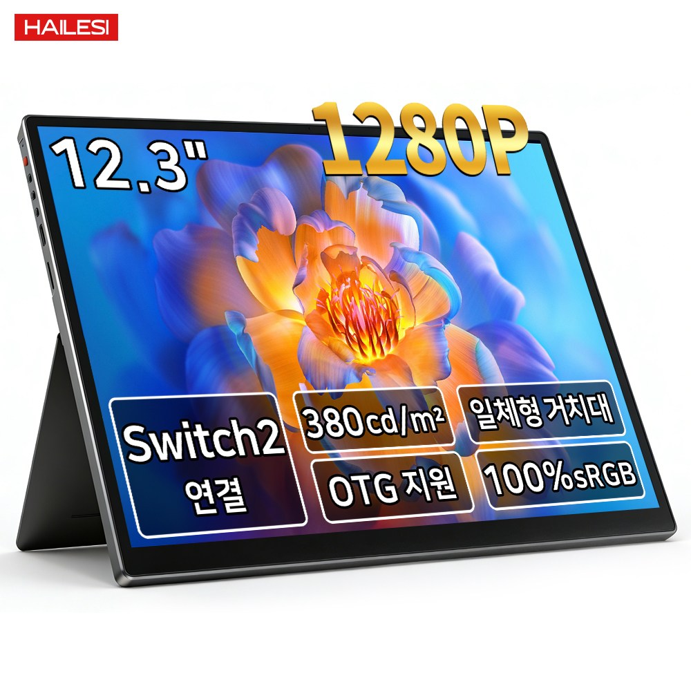 HAILESI S123 1.9K/2.4K 12.3인치 터치식 휴대용 모니터, 1920*1280(터치 불가), 31.24cm 109,000원