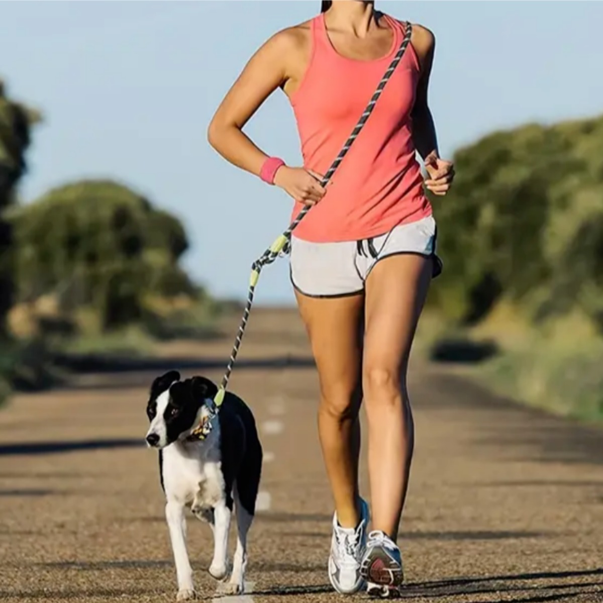 슈프렌 반려견 핸즈프리 리드줄 크로스바디 꼬임방지 반사 로프, 1개, 그린블랙 9,500원