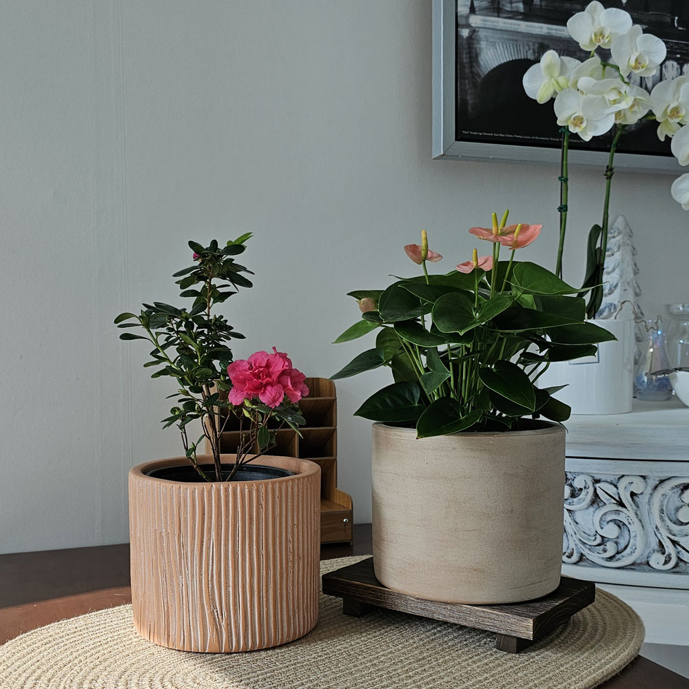 3개셋트 베트남 빈티지 토분 화분 실린더 원통형 18/25/32 62,080원