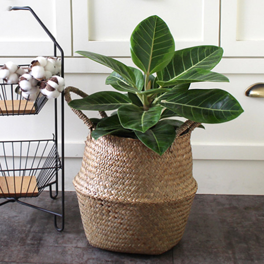 모리앤 해초 바구니 13,900원