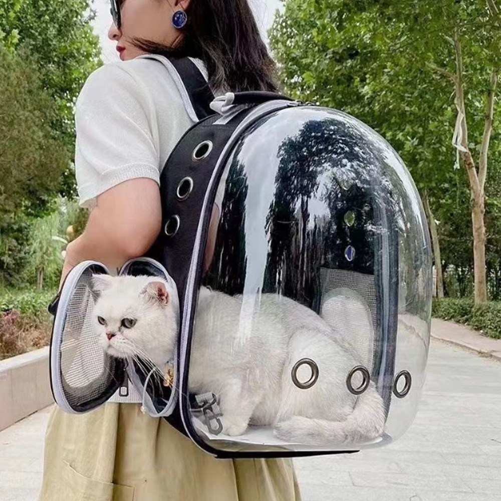 디앤몰 고양이 강아지 이동장 반려동물 투명 외출가방 우주선 이동가방 백팩, 그레이 15,800원