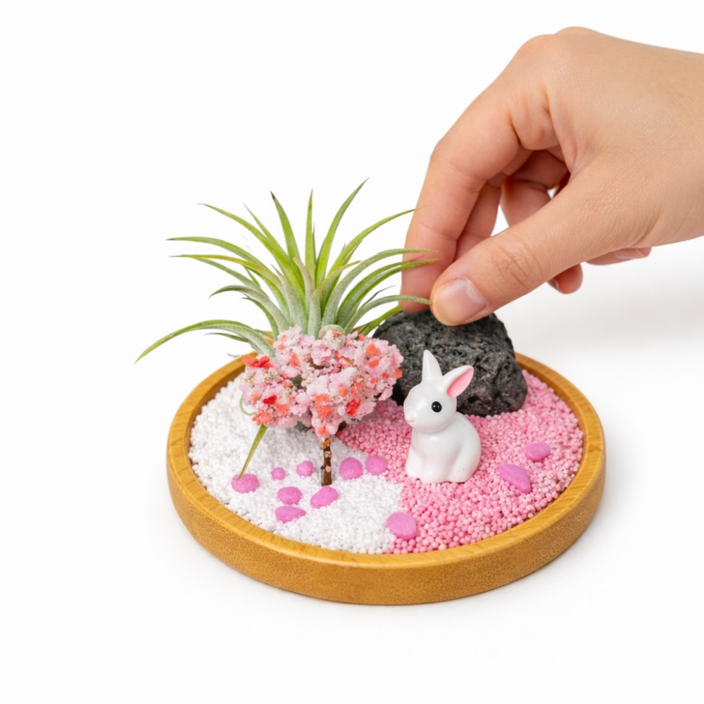 이오난사 테라리움 다육이 만들기 키트D.I.Y, 1세트, 봄토끼-이오난사DIY 7,050원