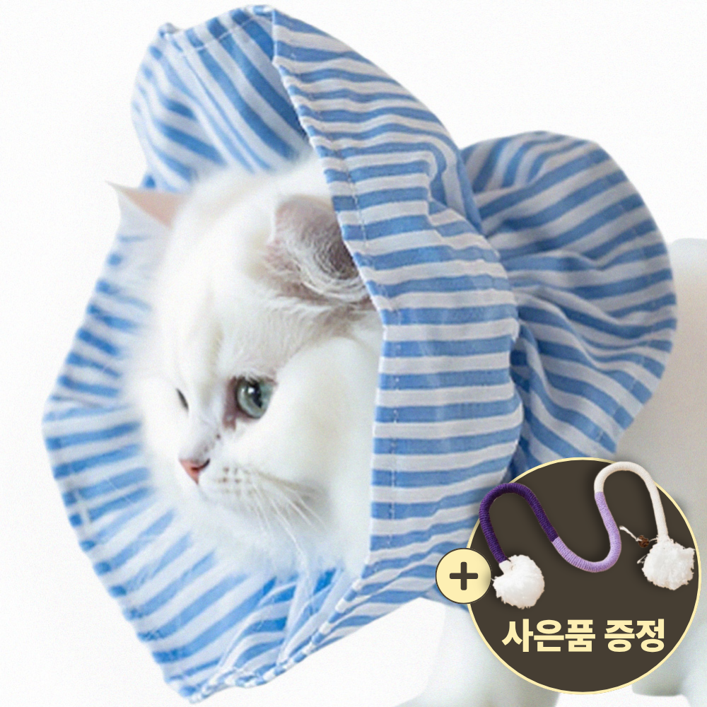 [speedmong] 목편한 초경량 시야 확보 반려동물 편안한 넥카라 고양이 강아지 깔대기 중성화 10,600원