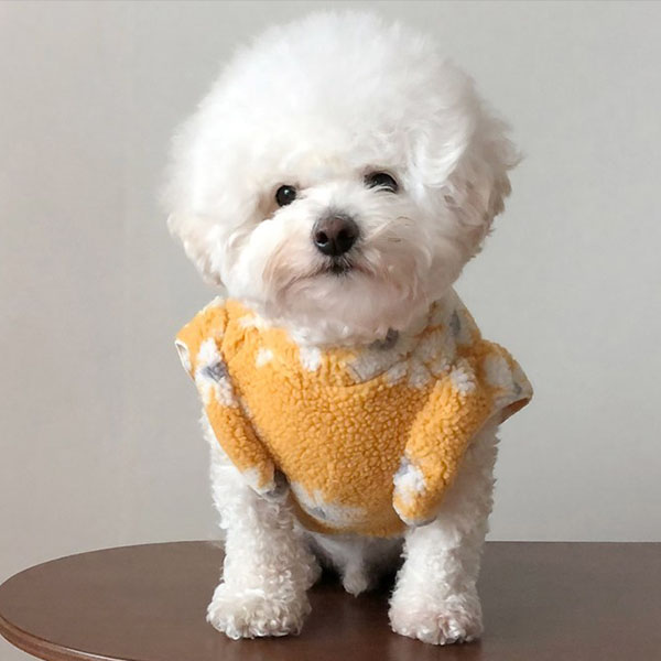 바이담수미 강아지 양털 꽃프릴 티셔츠, 옐로우, 1개 20,500원