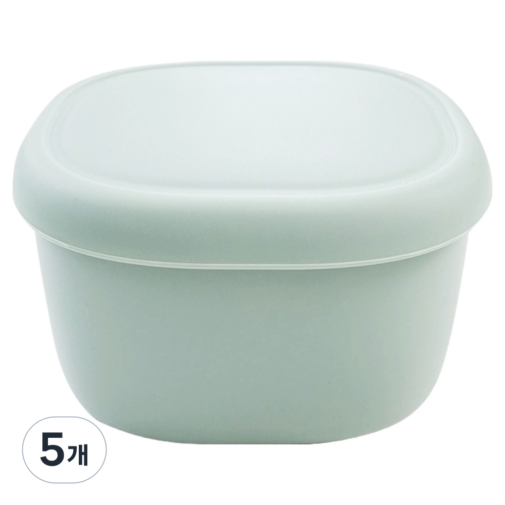 실리팟 국산 실리콘 밀폐용기 다크민트 대 148 x 120 x 70 mm, 5개, 600ml 62,500원