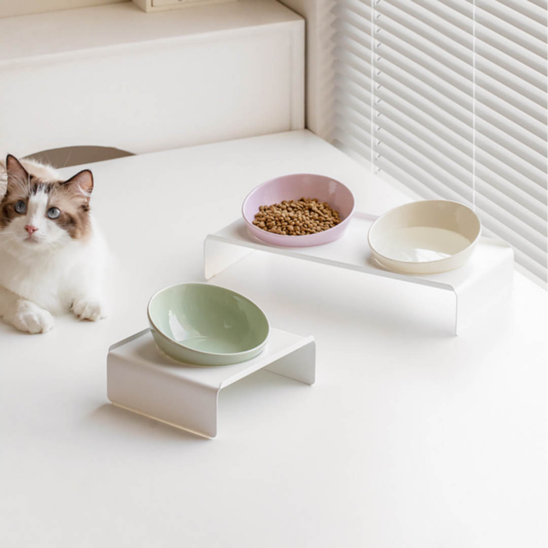 리엔떼 심볼 파스텔톤 세라믹 반려동물 식기 밥그릇 물그릇 2구, 퍼플, 1세트 29,600원