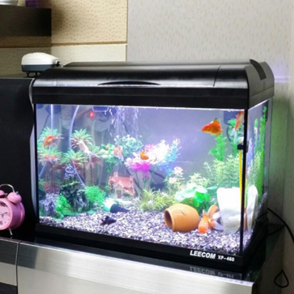 XP-600 일체형 2자어항 세트 수조 베타 구피 열대어수족관 269,000원
