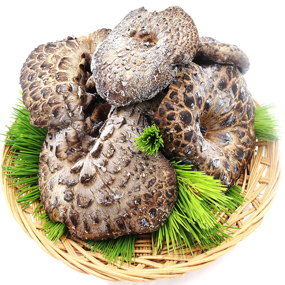 (청림송이,능이) 자연산 능이버섯/냉동(특품), 3개, 냉동능이/B급/1kg 52,500원