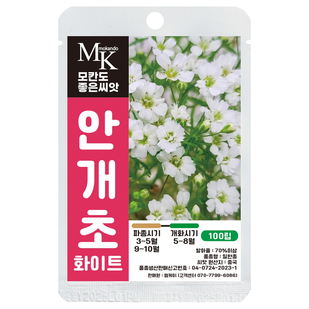 모칸도 좋은씨앗 안개초 화이트 씨앗 100립 꽃씨 꽃씨앗, 1개 3,700원