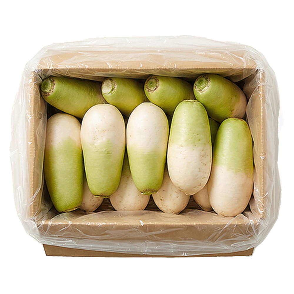 제주 월동무 세척무 김장무 동치미무, 10kg, 1 12,900원