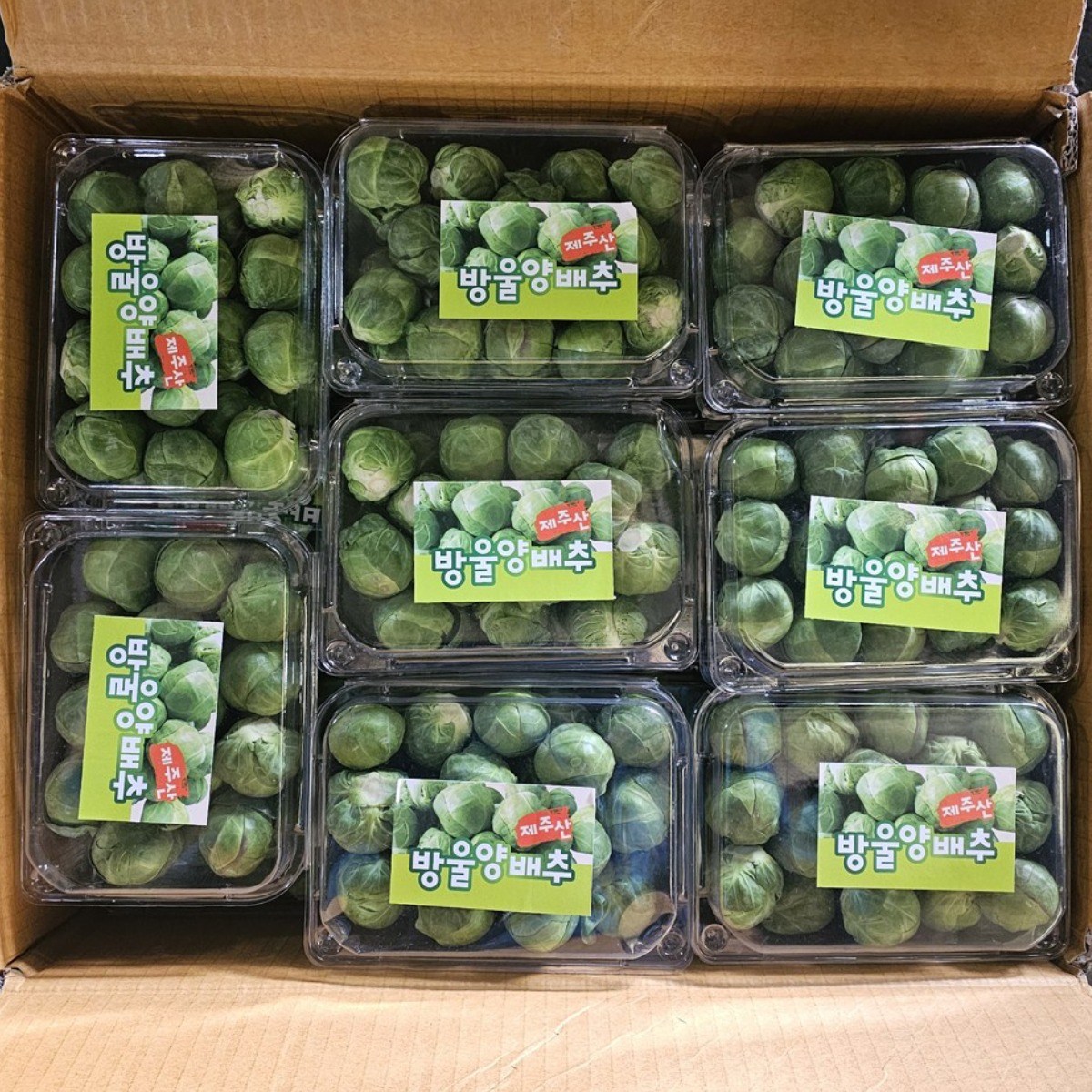 클릭마켓 제주 방울양배추 미니양배추 꼬마양배추, 500g, 4개 23,800원