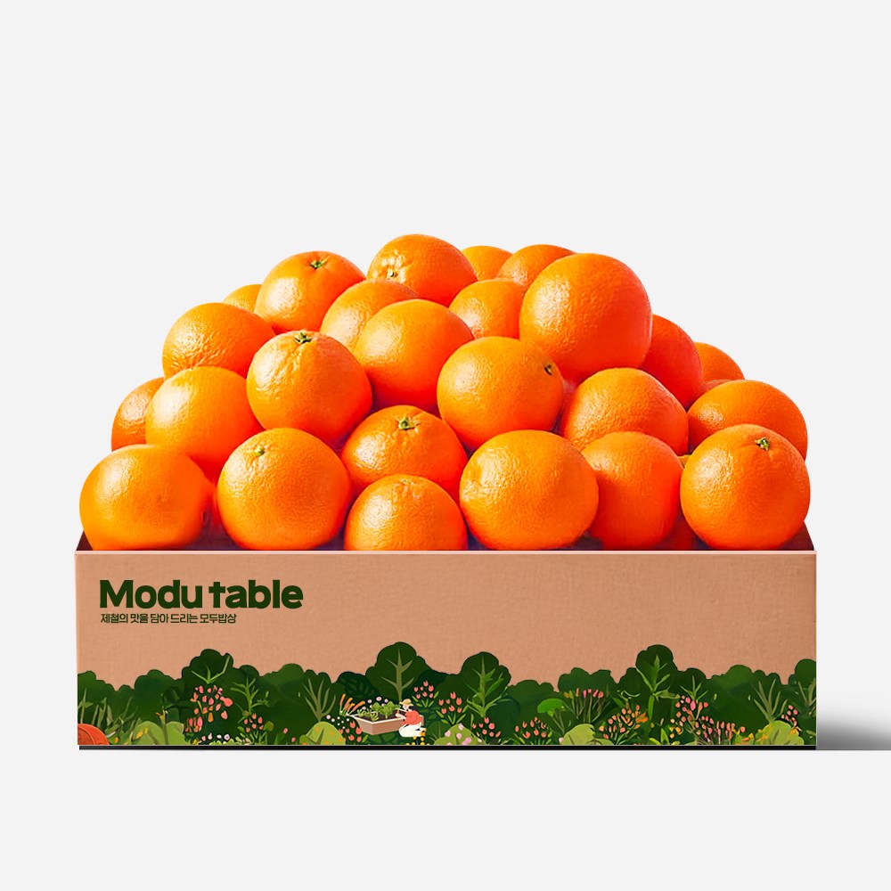 백화점 입점용 초고당도 홍매향 제주 홍미향 귤 썬레드, 1박스, 소과 4.5kg (36-45과) 57,800원