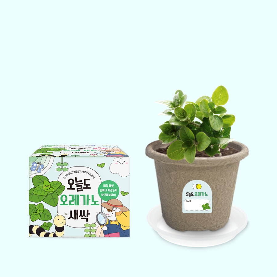 오늘도새싹 식물키우기 오레가노 미니화분 120,000원