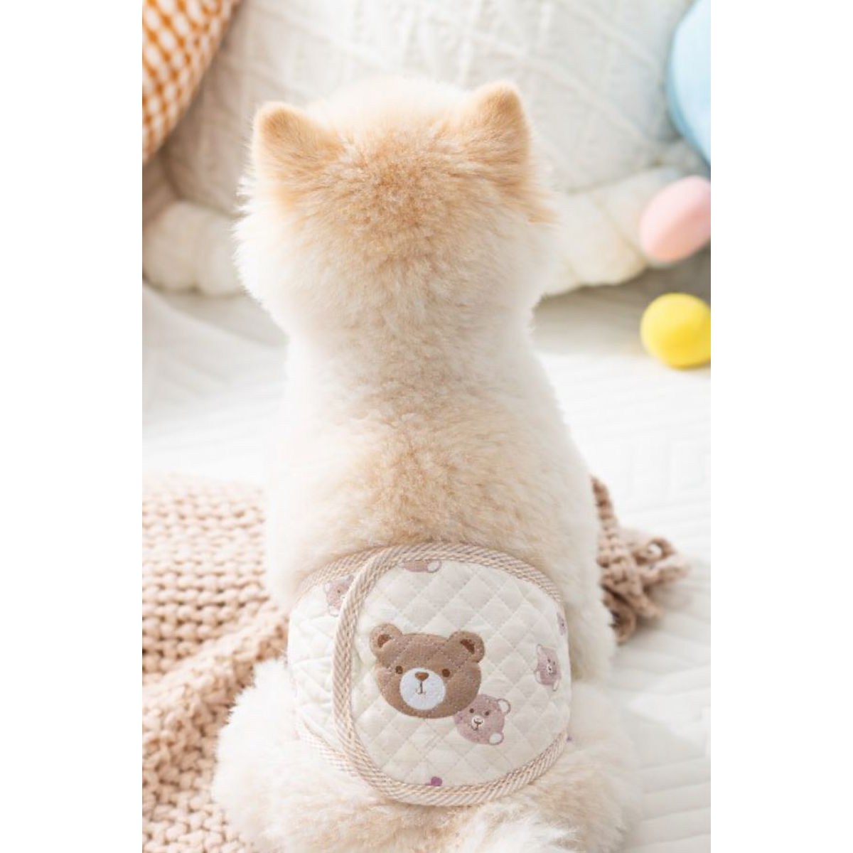 알로하모아 강아지 복대 매너벨트, 1개, 1개입, 중형 10,000원