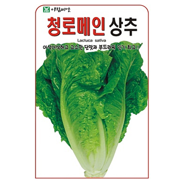 아람종묘 청로메인 상추 씨앗 1000p 2,700원