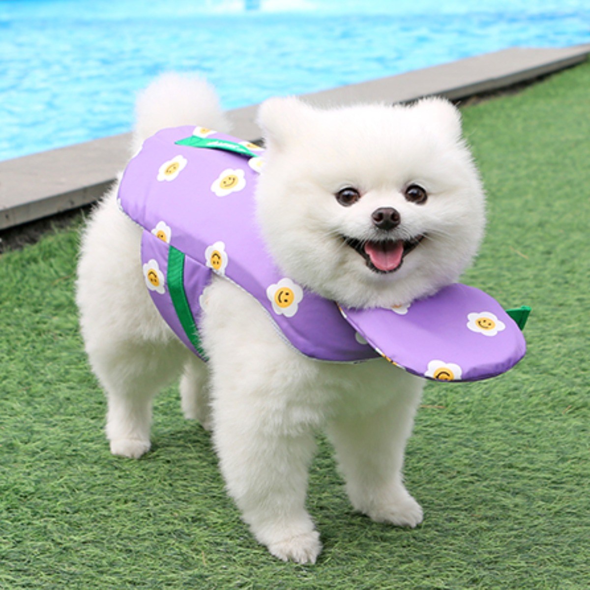 이츠독 반려동물 아이스 팝핑 구명조끼 34,000원