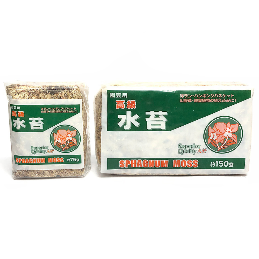 밍이네가든 천연 고급 수태 6,000원